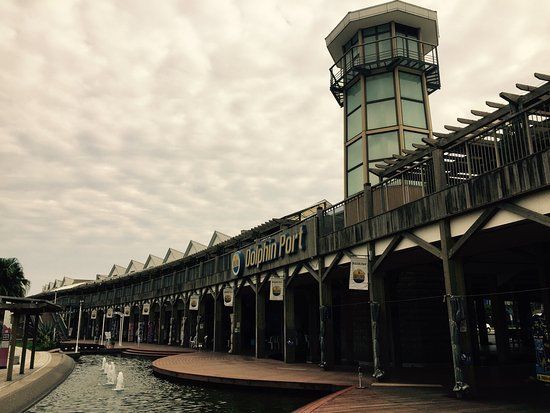 Dolphin Port